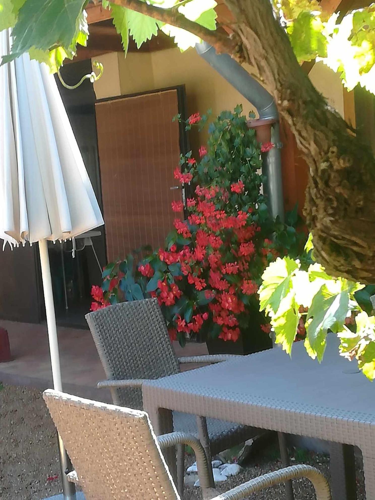 Muskatlis Haz Apartment Balatonlelle Exterior photo